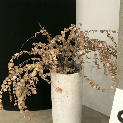 Furry插画手绘教程福瑞交流群